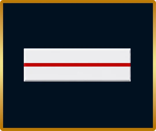 Grade : Brigadier-chef