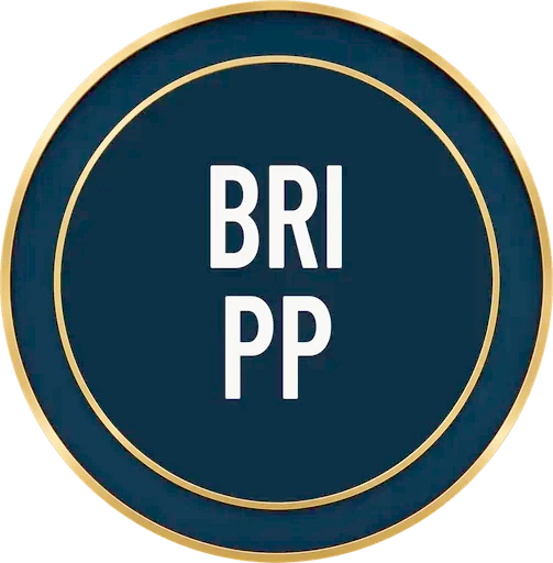 Policier de la brigade anti-gang (BRI Paris)